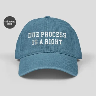 Due Process is a Right Hat Denim Embroidered Gift for Activist Unisex's - Light blue