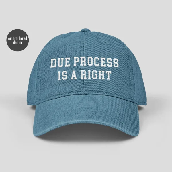 Due Process is a Right Hat Denim Embroidered Gift for Activist Unisex's - Light blue